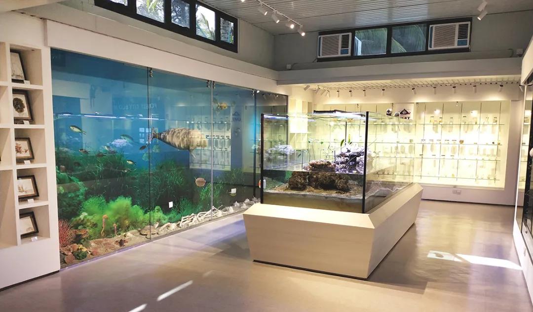 森林城市生態博物館是生態展覽和研究中心