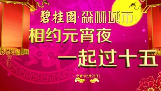 2017年碧桂園森林城市鬧央視元宵晚會
